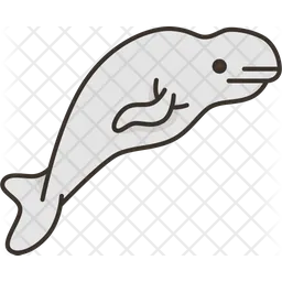 Whale  Icon