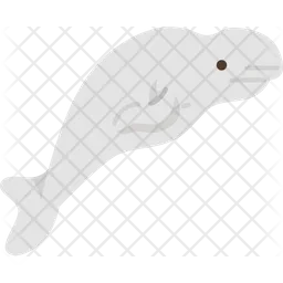 Whale  Icon