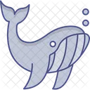 Whale  Icon