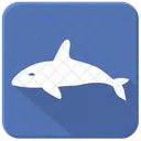 Whale Shark Sea Icon