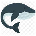 Whale  Icon