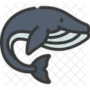 Whale Animal Creature Icon