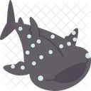 Whale  Icon