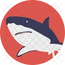 Whale Mammal Sea Icon