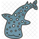 Whale  Icon