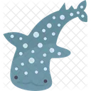 Whale Shark Fauna Icon