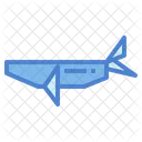 Whale  Icon