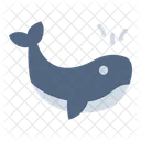 Whale  Icon