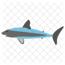 Whale Blue Whale Sea Animal Icon