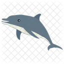 Whale Mammal Animal Icon