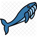 Whale Water Ocean Icon