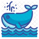 Whale Aquatic Animal Sea Ocean  Icon