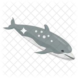 Whale Fish  Icon
