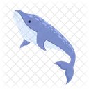 Whale humpback underwater  Icône