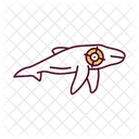 Whale Poaching Animal Icon