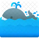 Whale Animal Fish Icon