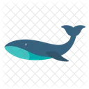 Whale Animal Sea Icon