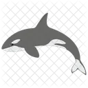 Whale Blue Whale Wild Sea Animal Icon