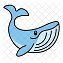 Whale Mammal Ocean Icon