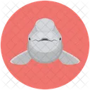 Animal Whale Sea Animal Icon