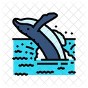 Whale Watching Winter Icon