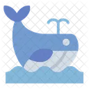Whale Ocean Marine Icon