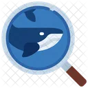 Whale  Icon