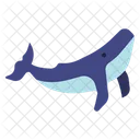 Whale  Icon