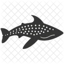 Whale Shark Elasmobranch Filter Feeder Icon