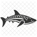 Whale Shark Elasmobranch Filter Feeder 아이콘