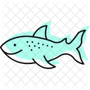 Whale Shark Whale Shark Icon
