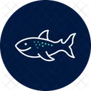 Whale Shark Whale Shark Icon
