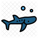 Whale Shark  Icon