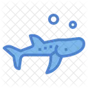 Whale Shark  Icon