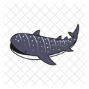 Whale Shark Animal Whale Icon