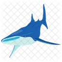 Whale shark  Icon