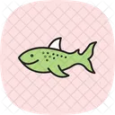 Whale Shark Whale Shark Icon