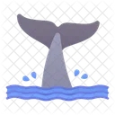 Whale Tail Sea Icon