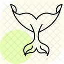 Whale Tail Whale Tail Icon