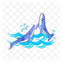 Whale Ocean Fish Icon