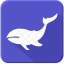Ocean Whale Sea Icon