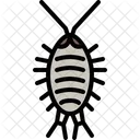 Wharf Roach  Icon