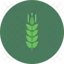 Wheat Grain Food Icon