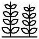小麦、茎、大麦 アイコン