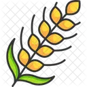 Wheat  Icon