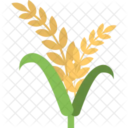 Wheat  Icon