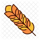 Wheat Barley Food Icon