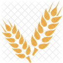 Wheat Grain Crop Icon