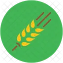 Wheat Grain Ear Icon