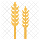 Wheat Gram Maize Icon